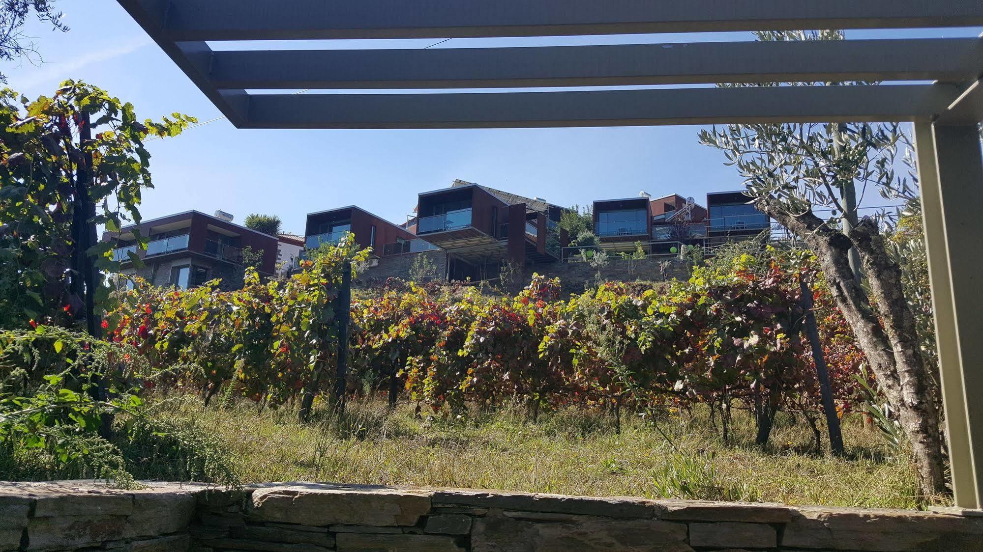 Vila Marim Country Houses 梅骚·弗里奥 外观 照片