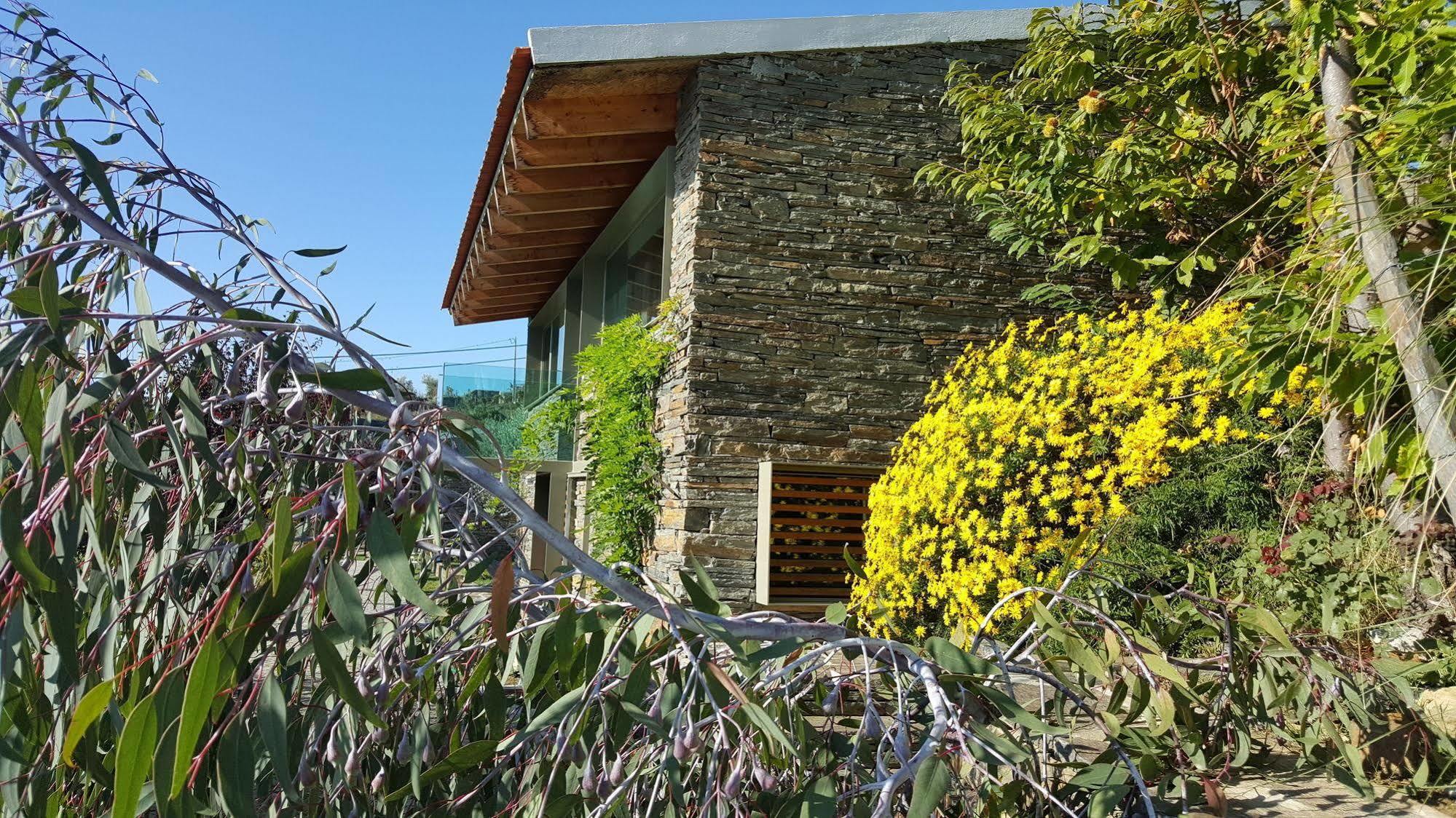 Vila Marim Country Houses 梅骚·弗里奥 外观 照片