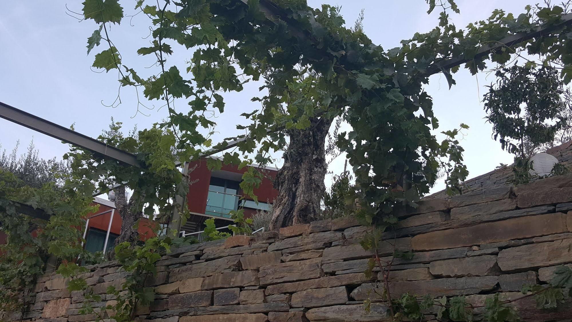 Vila Marim Country Houses 梅骚·弗里奥 外观 照片